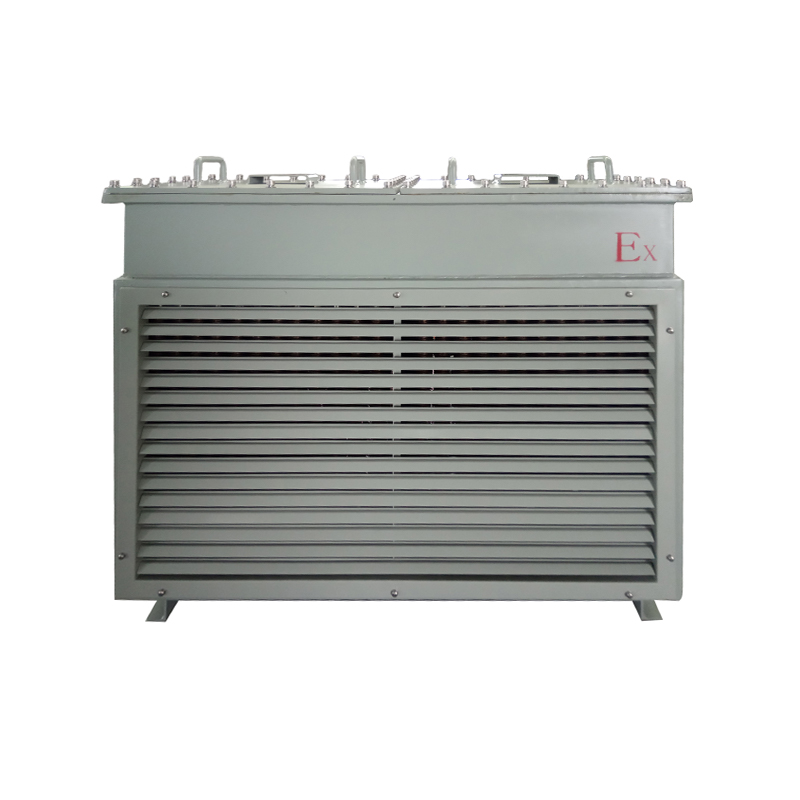 BT4船用防爆暖風(fēng)機(jī)(圖2) BT4-雙頭正面.jpg